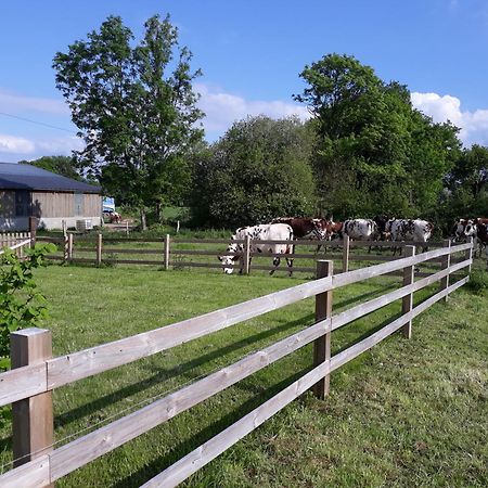 Villa Roulotte A La Ferme Buissonniere à La Lande-de-Louge Extérieur photo